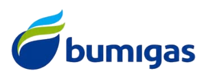 Bumigas Logo